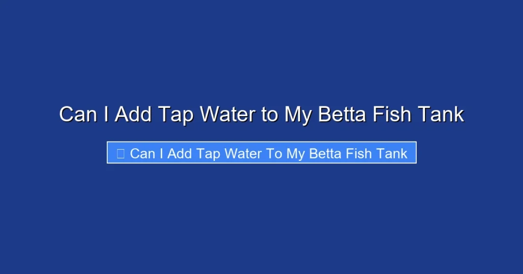 Can I Add Tap Water to My Betta Fish Tank