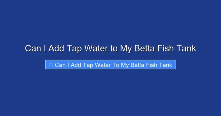 Can I Add Tap Water to My Betta Fish Tank