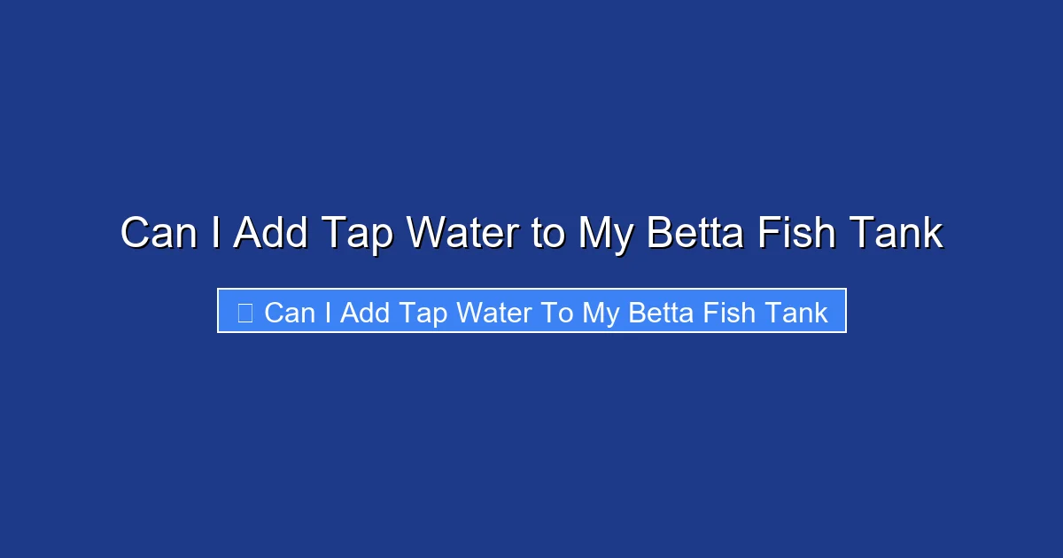 Can I Add Tap Water to My Betta Fish Tank