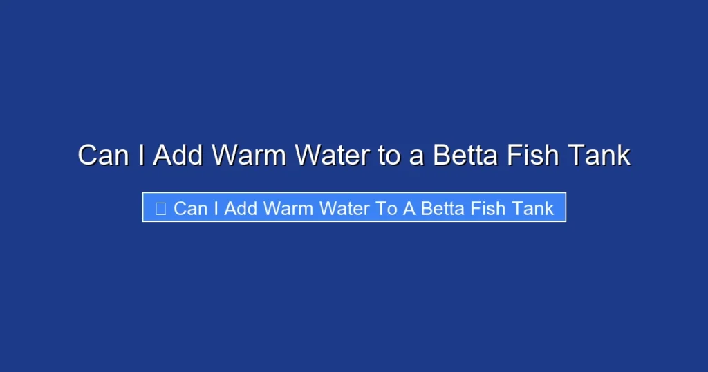 Can I Add Warm Water to a Betta Fish Tank