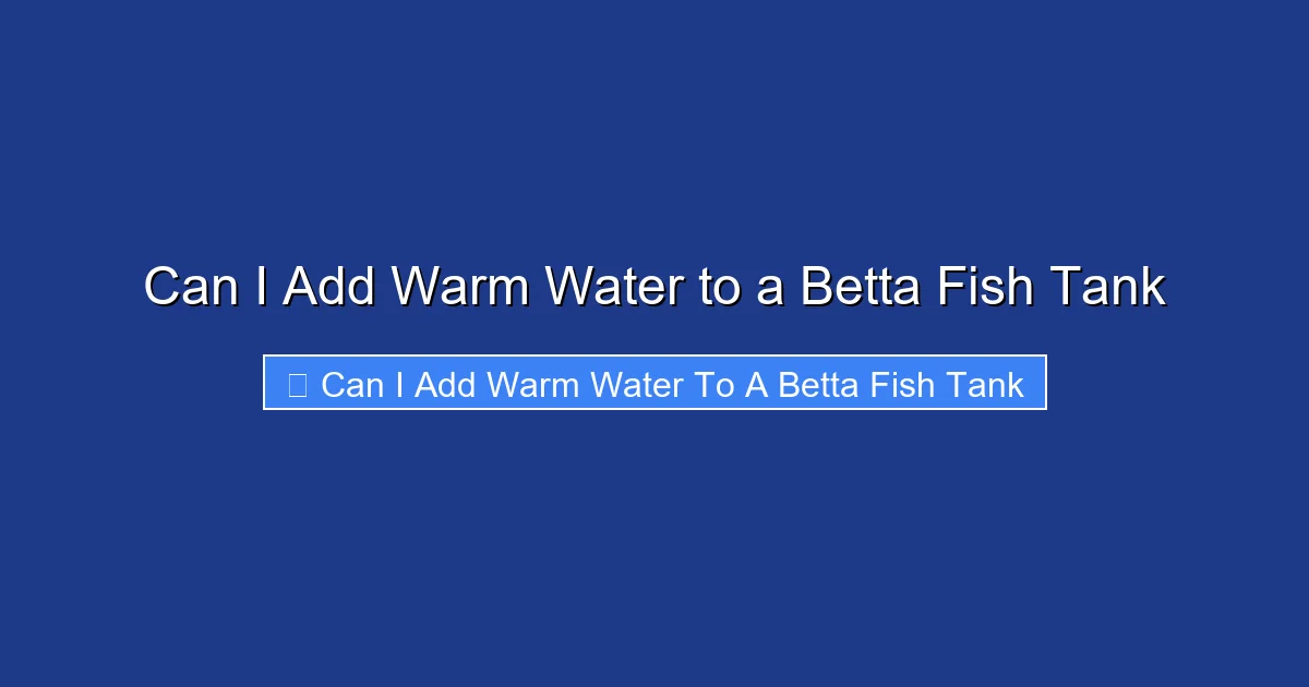 Can I Add Warm Water to a Betta Fish Tank