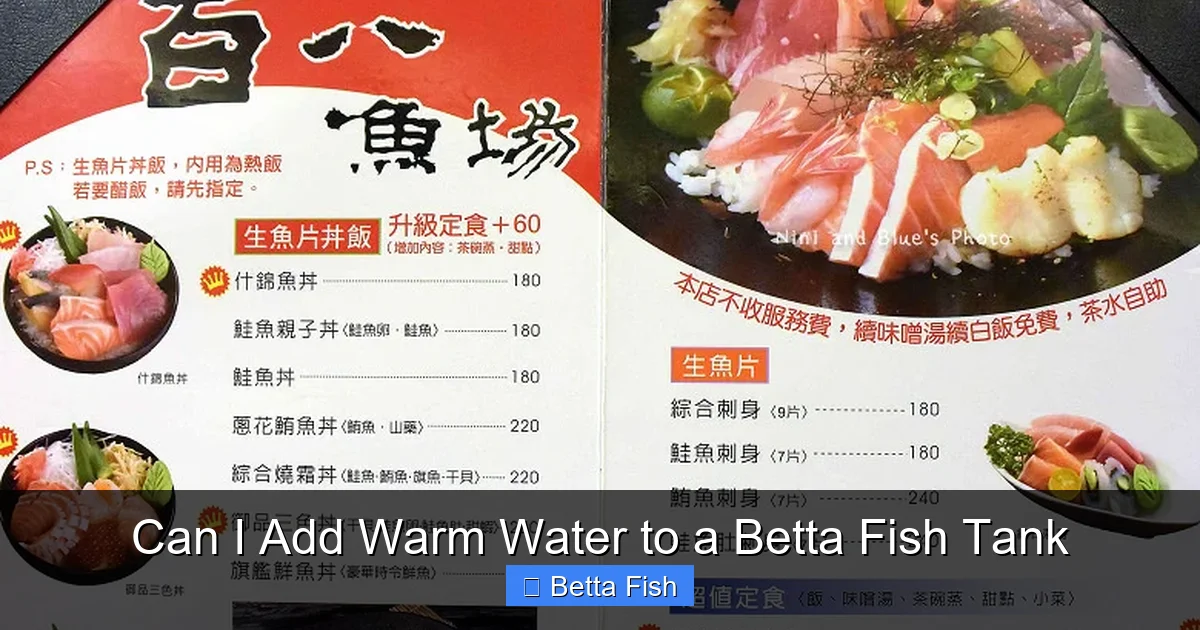 Can I Add Warm Water to a Betta Fish Tank