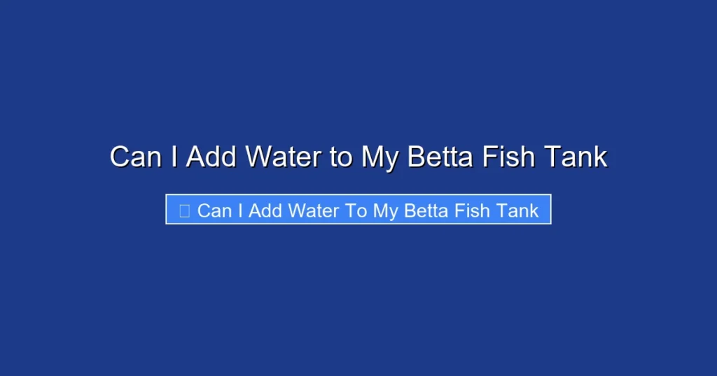 Can I Add Water to My Betta Fish Tank