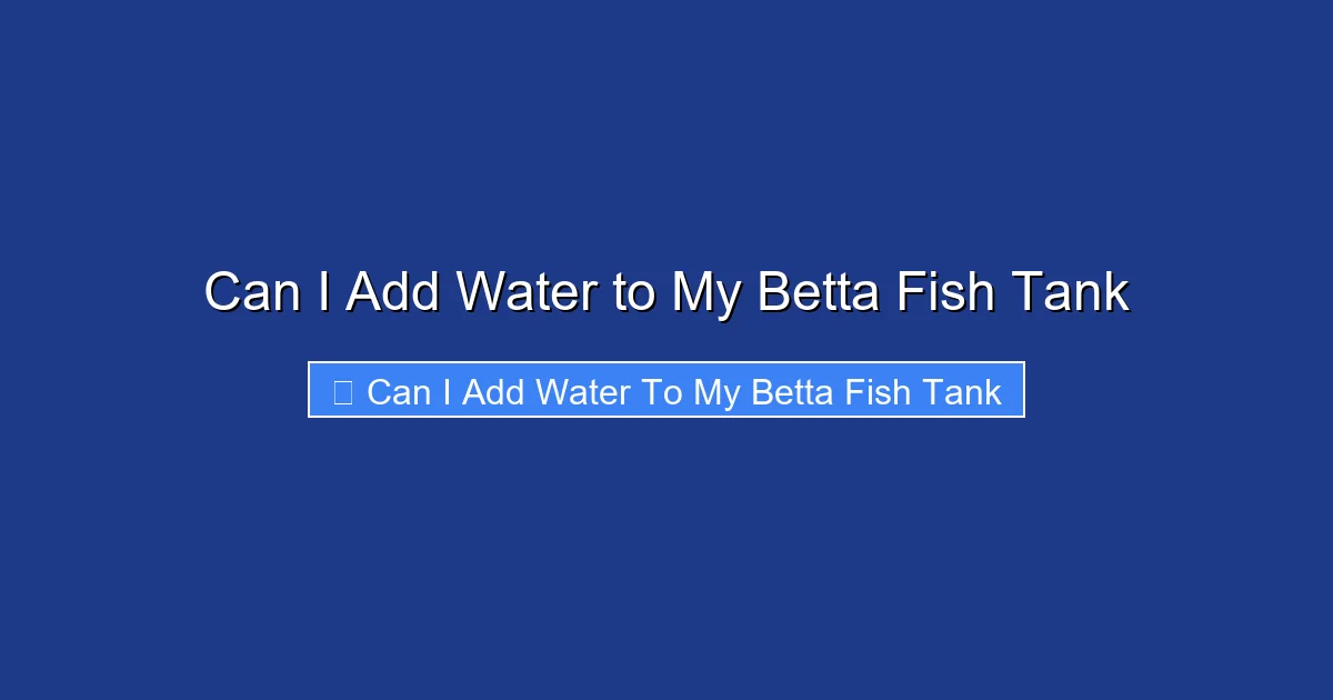 Can I Add Water to My Betta Fish Tank
