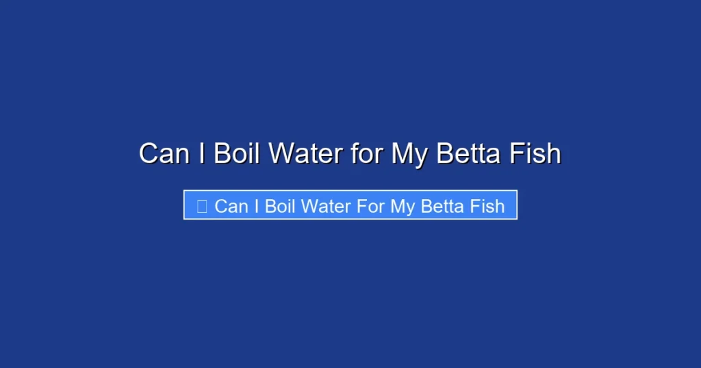 Can I Boil Water for My Betta Fish