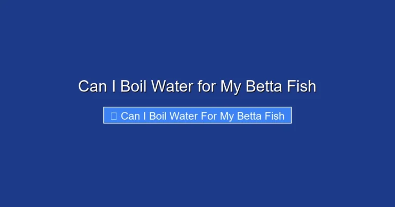 Can I Boil Water for My Betta Fish