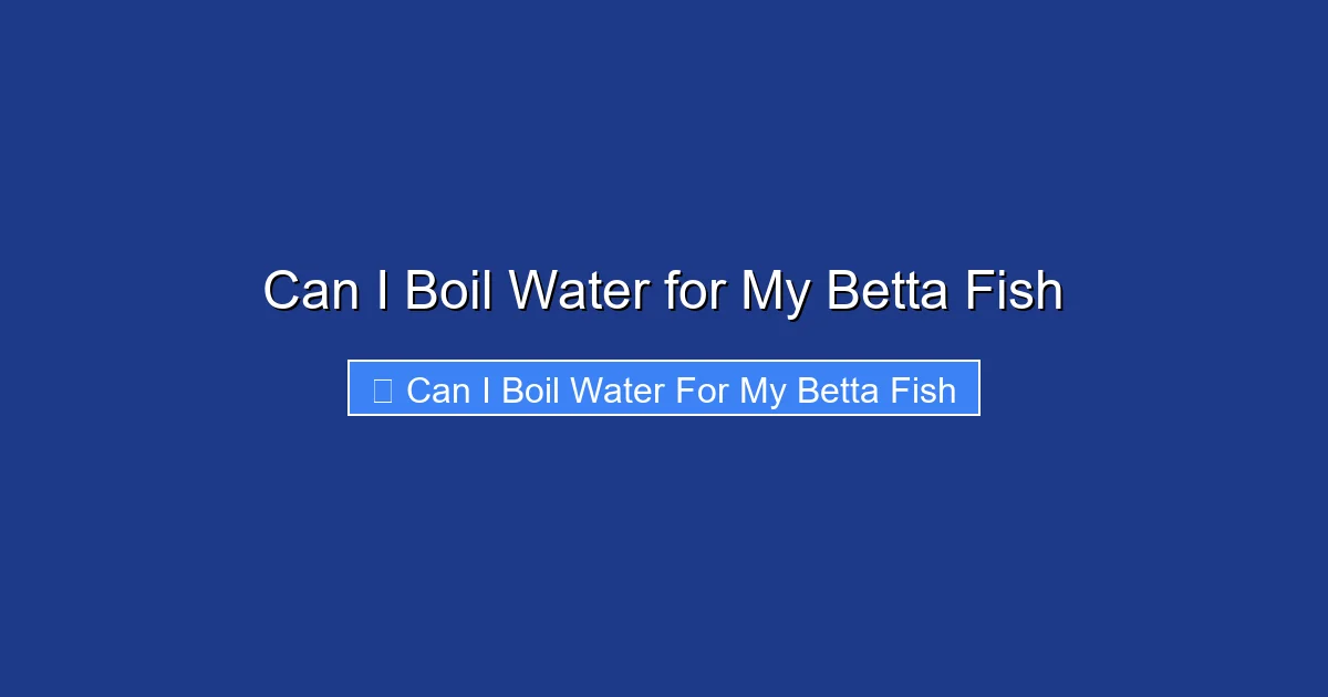 Can I Boil Water for My Betta Fish