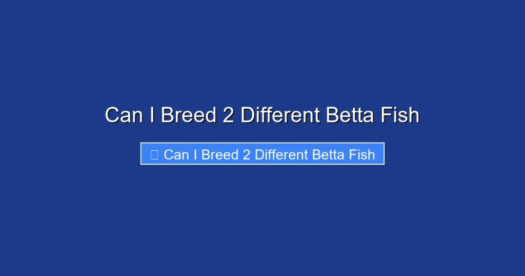 Can I Breed 2 Different Betta Fish