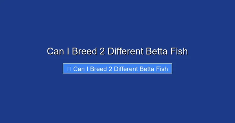 Can I Breed 2 Different Betta Fish