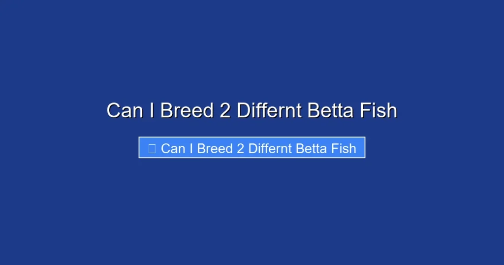 Can I Breed 2 Differnt Betta Fish