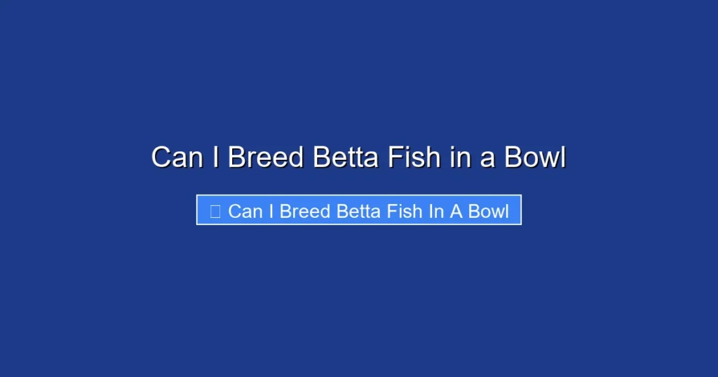 Can I Breed Betta Fish in a Bowl