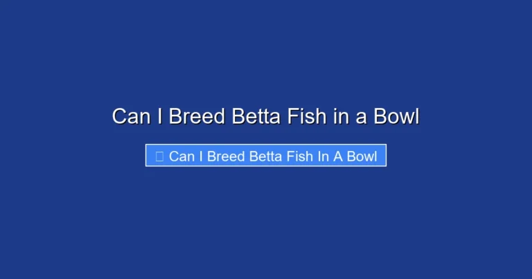 Can I Breed Betta Fish in a Bowl