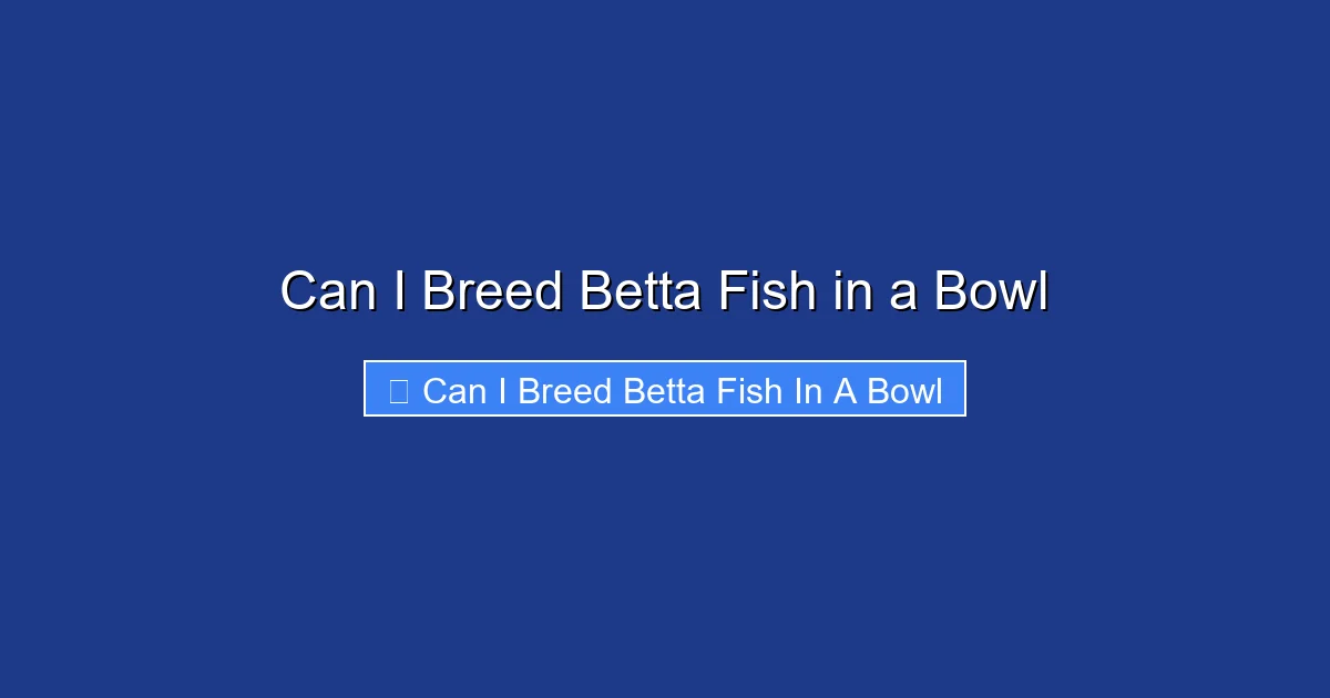 Can I Breed Betta Fish in a Bowl