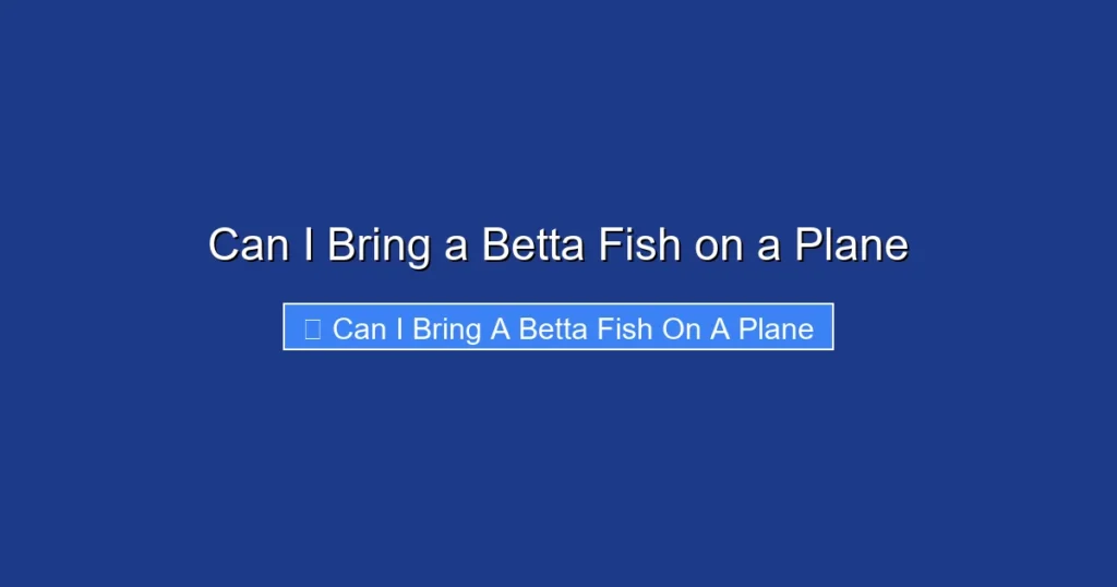 Can I Bring a Betta Fish on a Plane