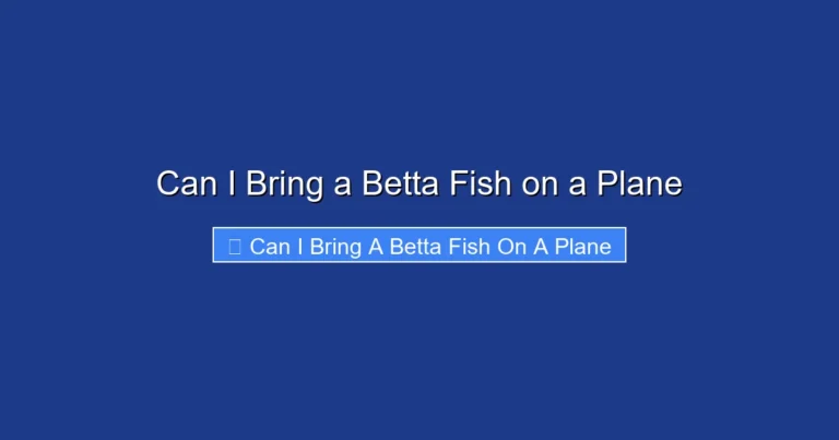 Can I Bring a Betta Fish on a Plane