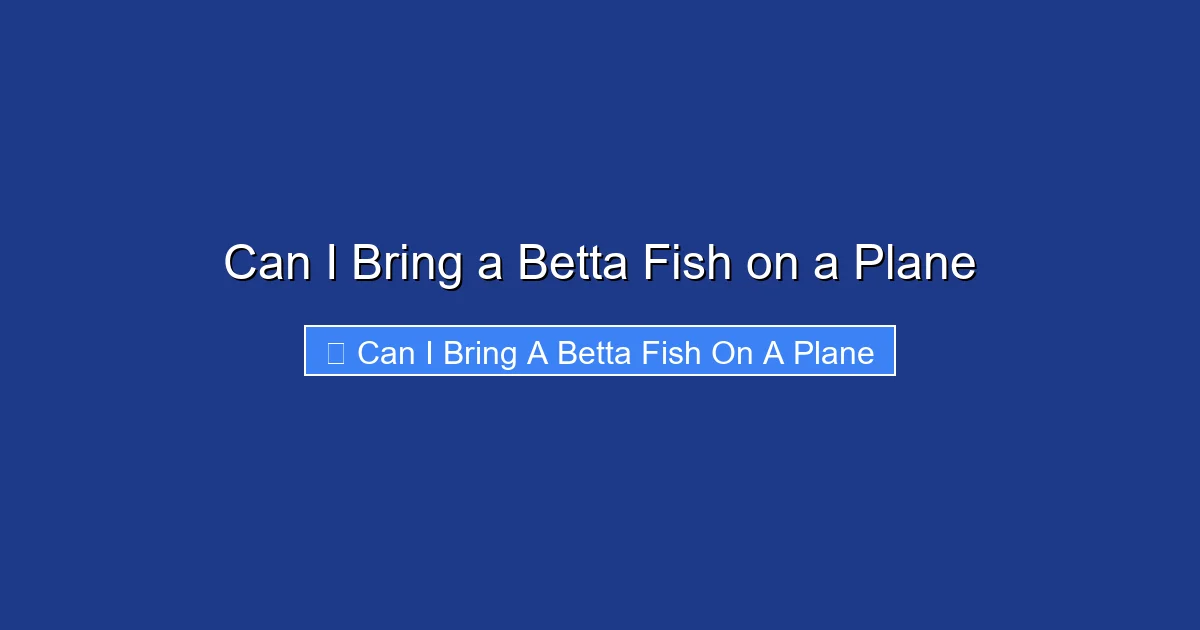 Can I Bring a Betta Fish on a Plane