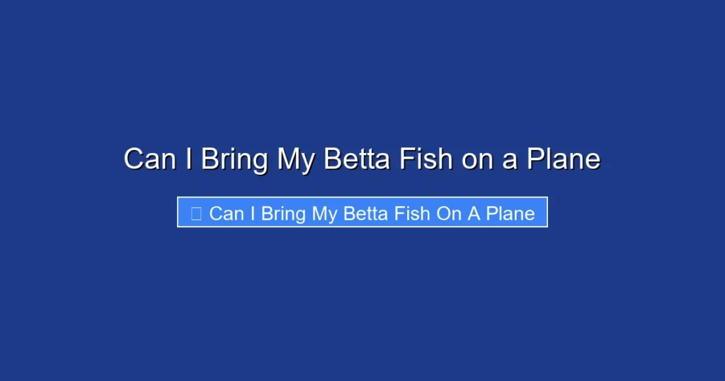 Can I Bring My Betta Fish on a Plane