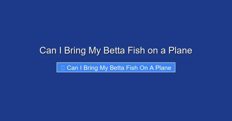 Can I Bring My Betta Fish on a Plane