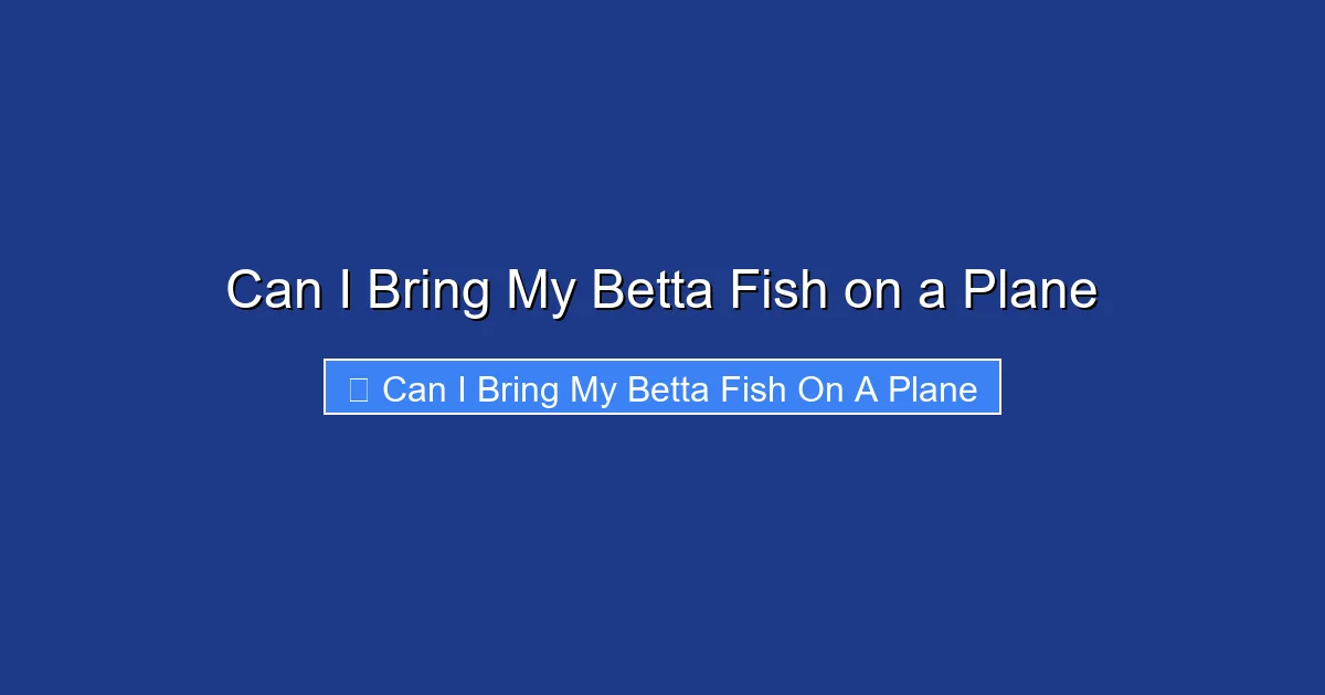 Can I Bring My Betta Fish on a Plane