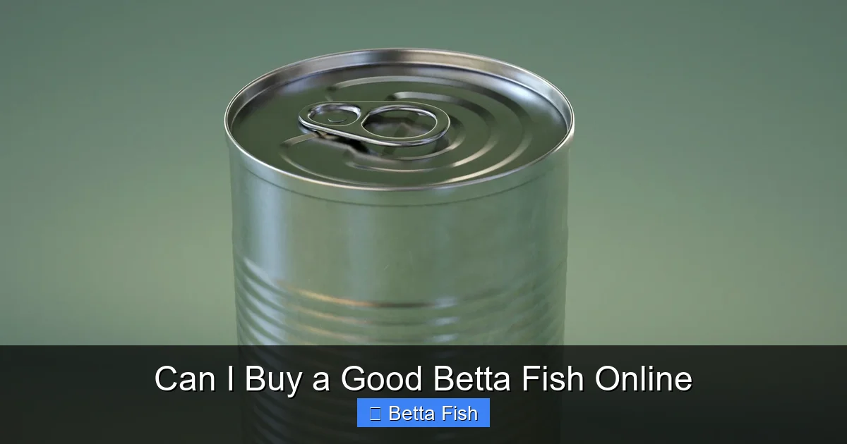 Can I Buy a Good Betta Fish Online