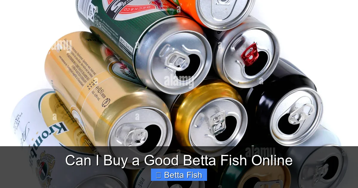 Can I Buy a Good Betta Fish Online