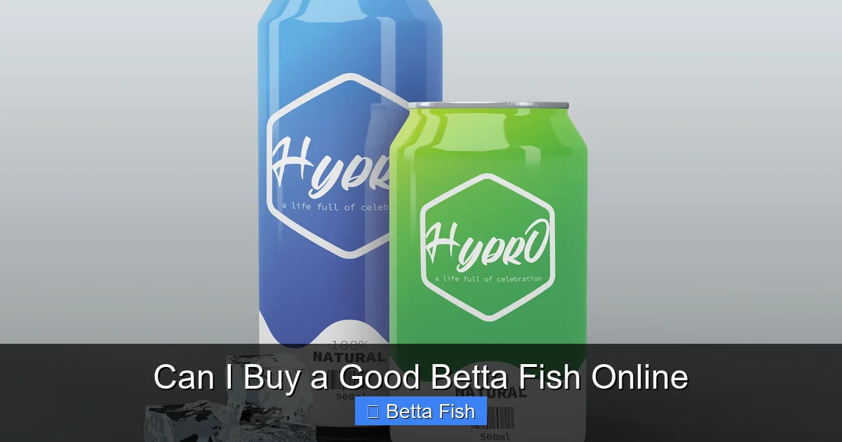 Can I Buy a Good Betta Fish Online