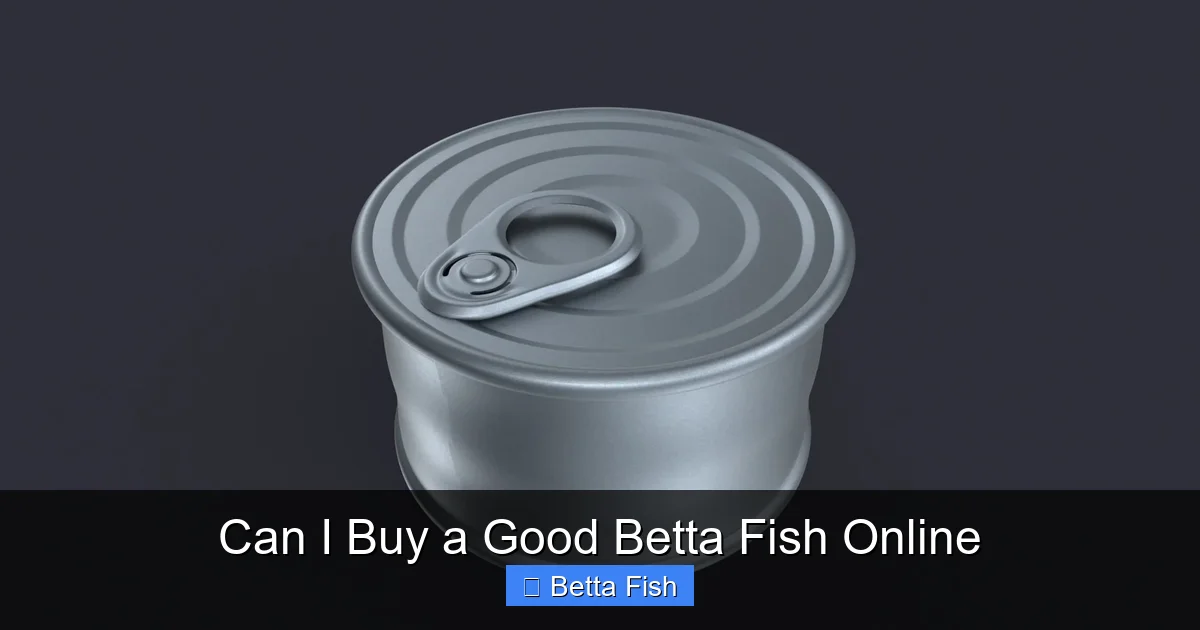 Can I Buy a Good Betta Fish Online