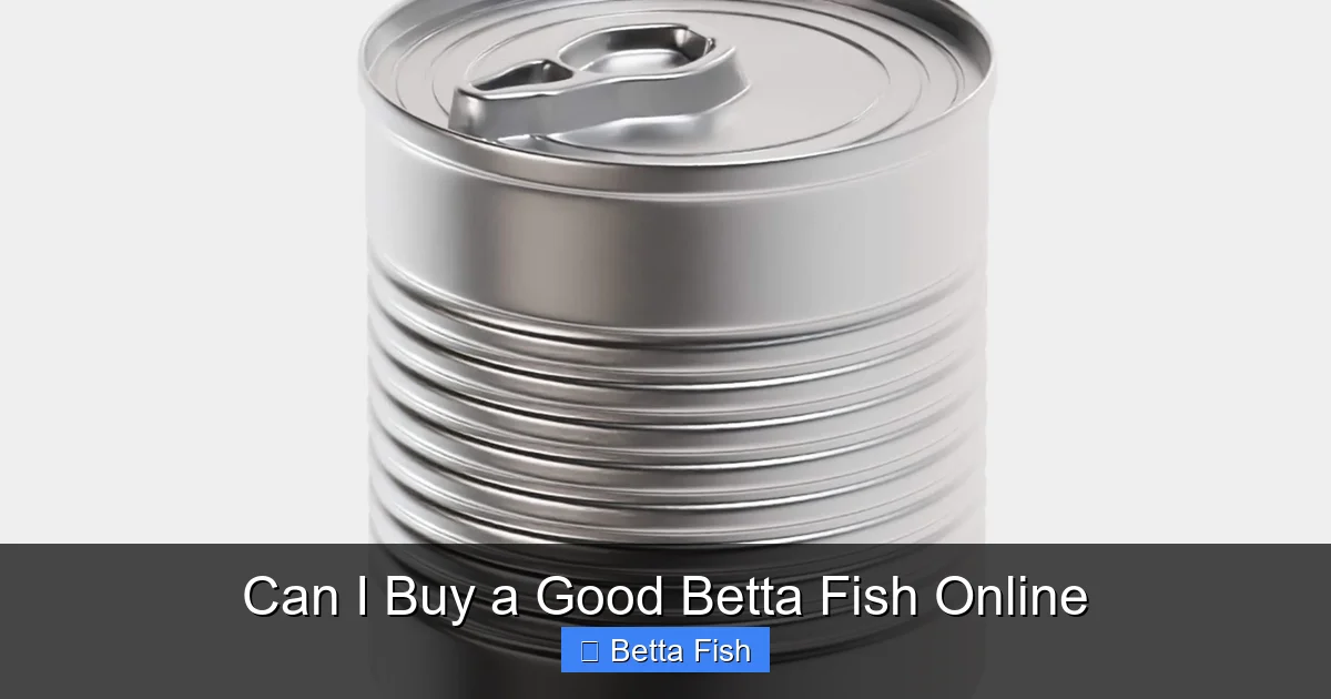 Can I Buy a Good Betta Fish Online