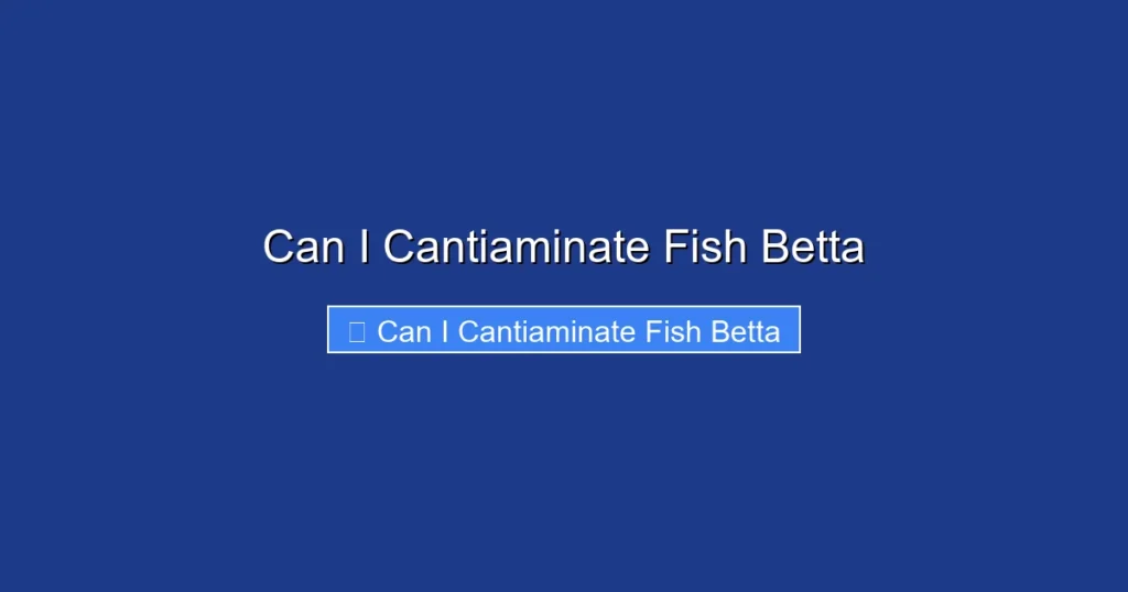 Can I Cantiaminate Fish Betta