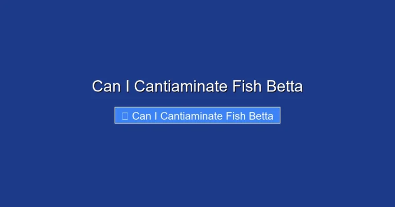 Can I Cantiaminate Fish Betta