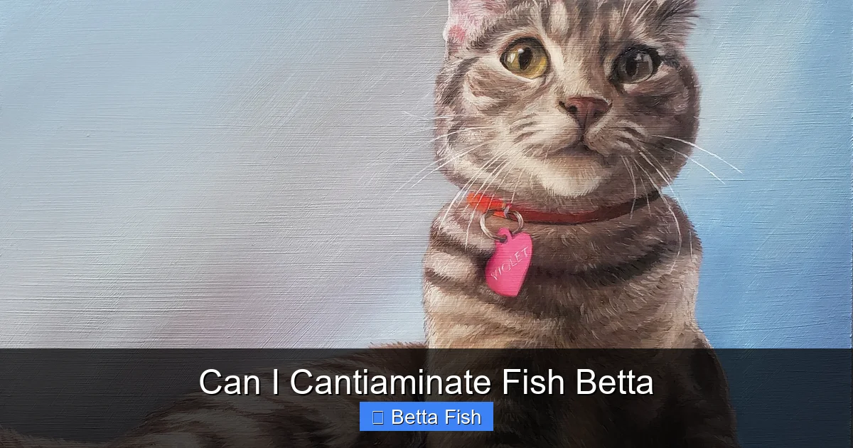 Can I Cantiaminate Fish Betta