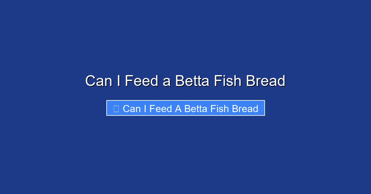 Can I Feed a Betta Fish Bread