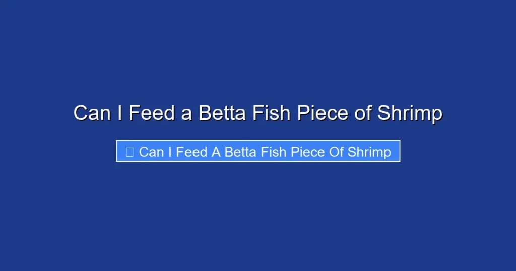 Can I Feed a Betta Fish Piece of Shrimp