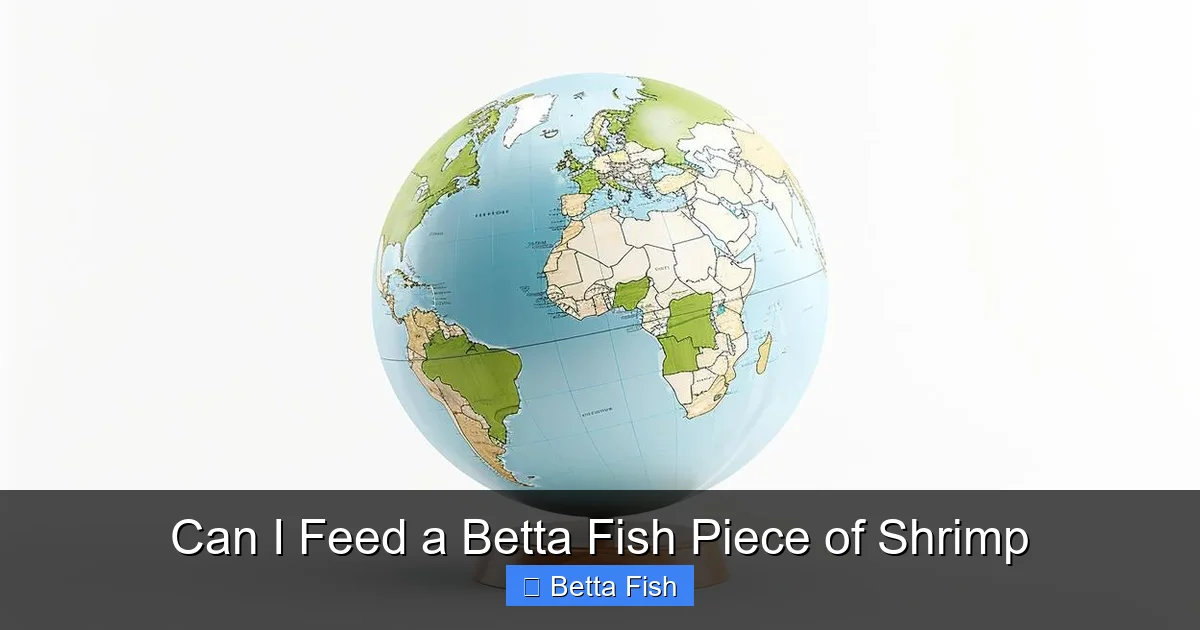 Can I Feed a Betta Fish Piece of Shrimp