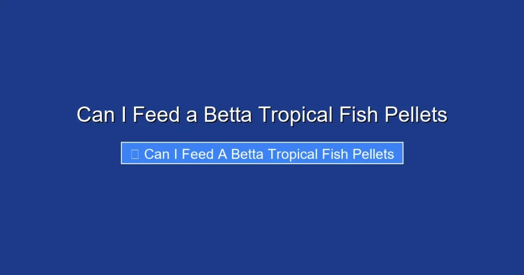 Can I Feed a Betta Tropical Fish Pellets