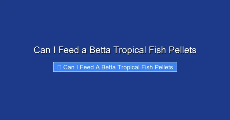 Can I Feed a Betta Tropical Fish Pellets