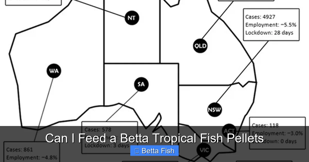 Can I Feed a Betta Tropical Fish Pellets