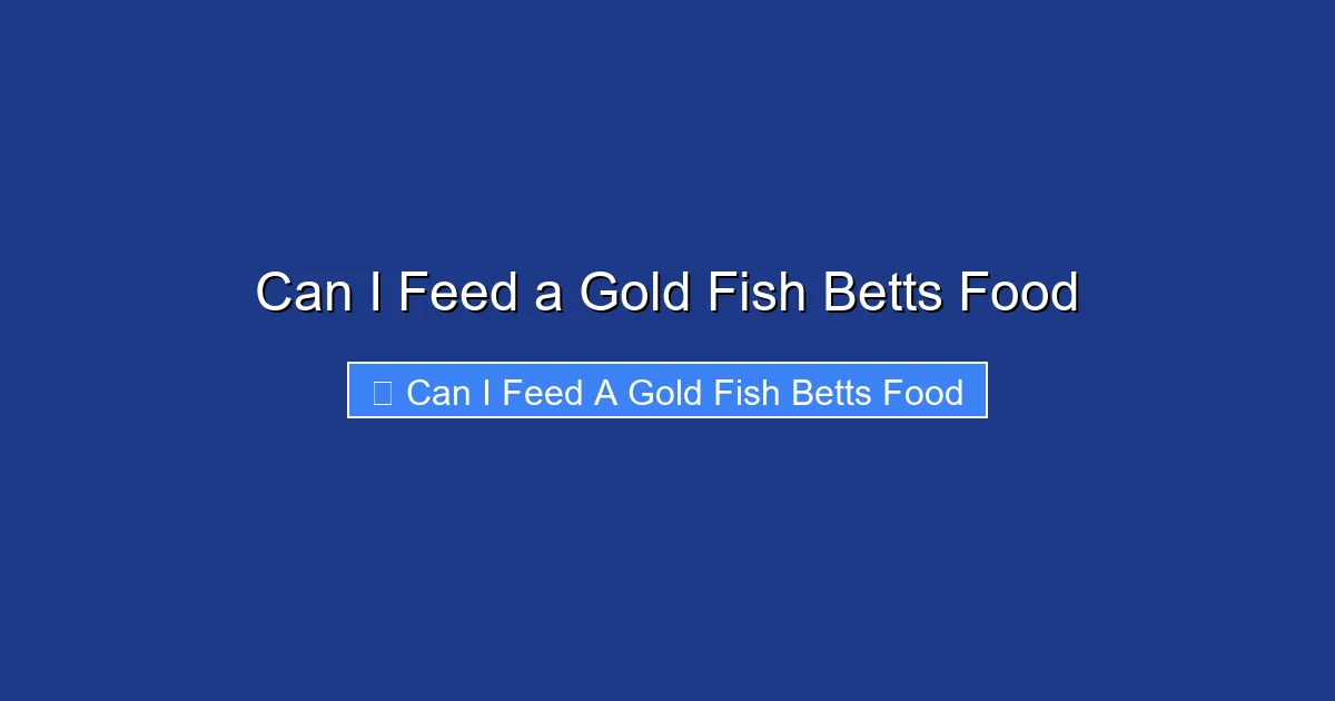 Can I Feed a Gold Fish Betts Food