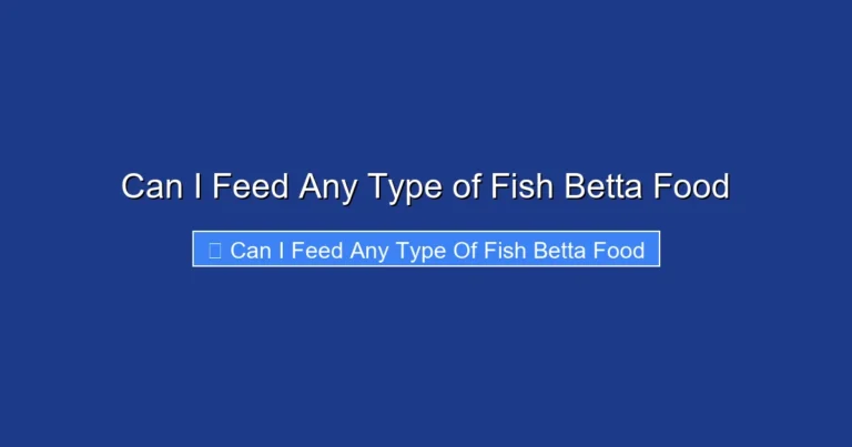 Can I Feed Any Type of Fish Betta Food
