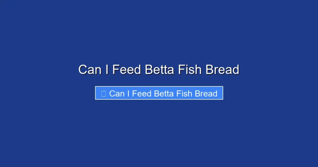 Can I Feed Betta Fish Bread
