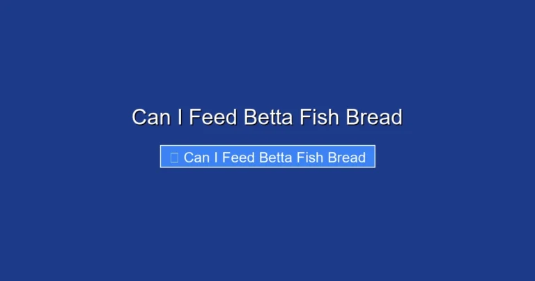 Can I Feed Betta Fish Bread