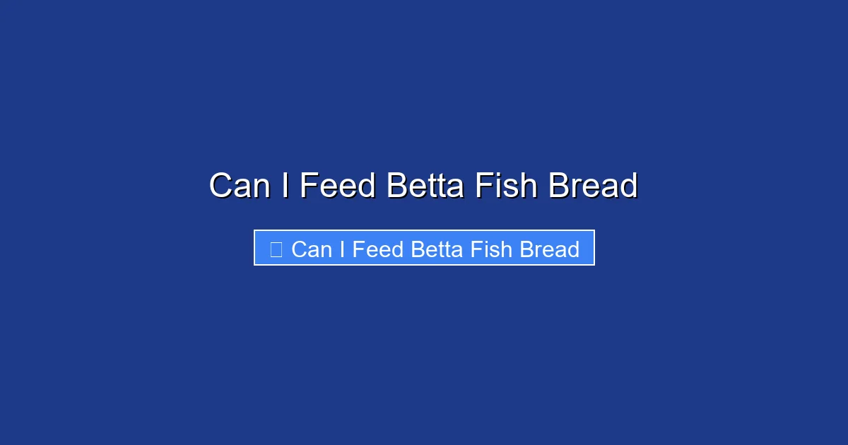 Can I Feed Betta Fish Bread