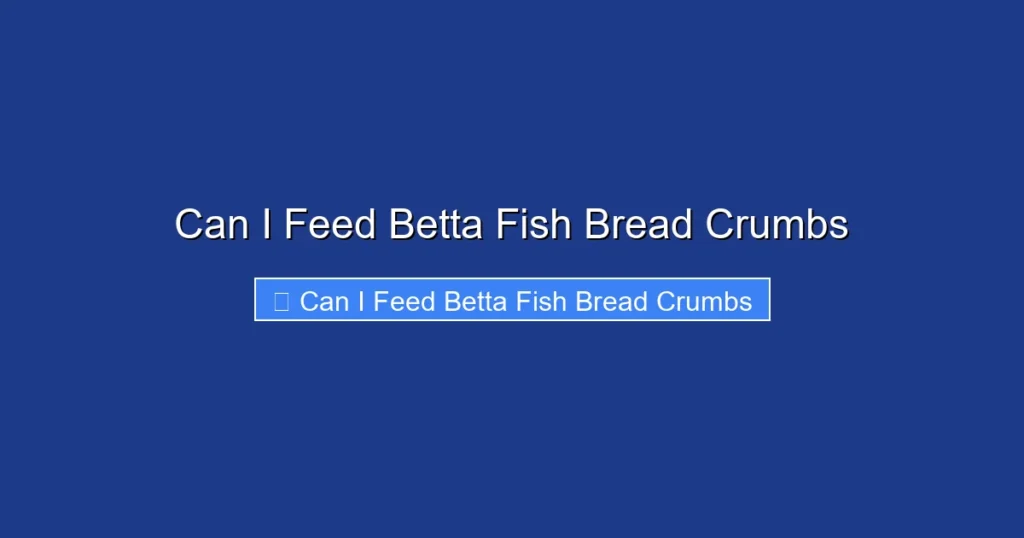 Can I Feed Betta Fish Bread Crumbs