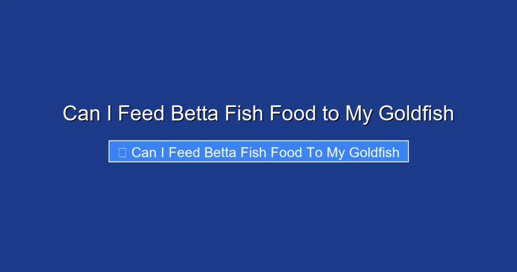 Can I Feed Betta Fish Food to My Goldfish