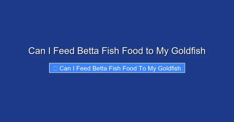 Can I Feed Betta Fish Food to My Goldfish