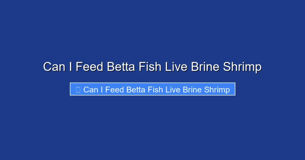 Can I Feed Betta Fish Live Brine Shrimp