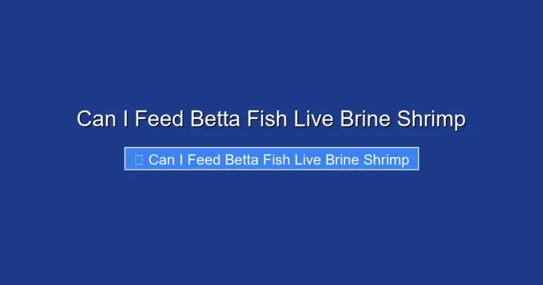 Can I Feed Betta Fish Live Brine Shrimp
