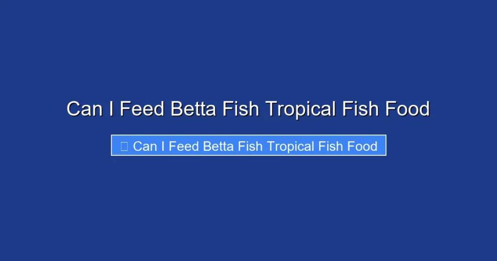 Can I Feed Betta Fish Tropical Fish Food