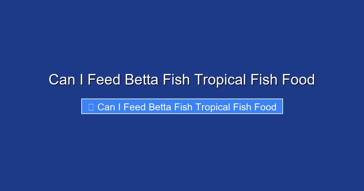 Can I Feed Betta Fish Tropical Fish Food