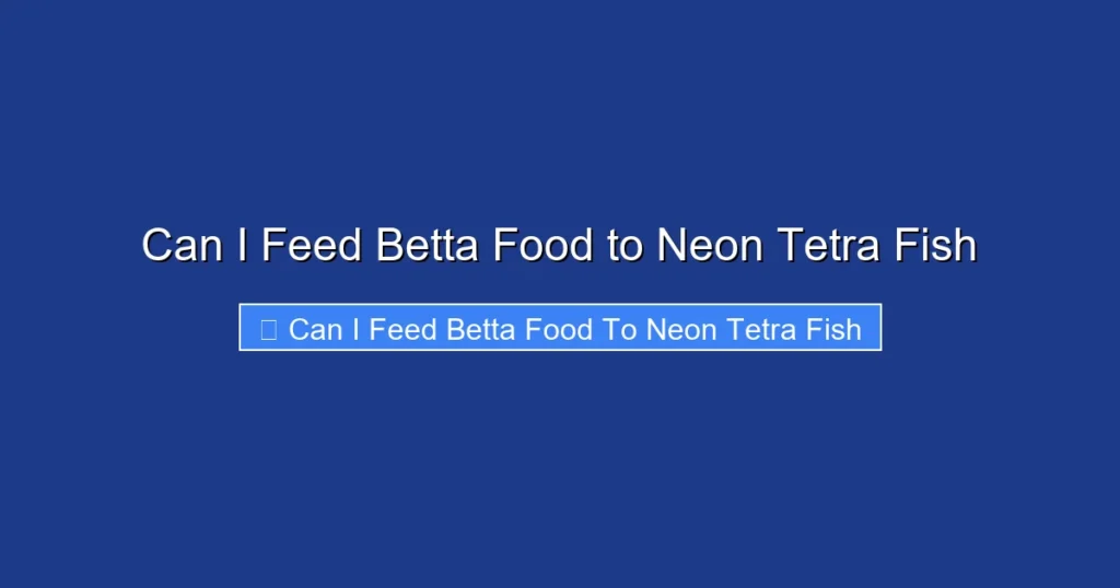 Can I Feed Betta Food to Neon Tetra Fish